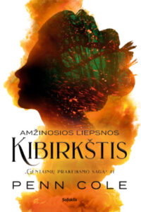 Kibirkštis